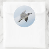 Sticker Rond Mouette volante (Sac)