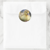 Sticker Rond Mousseux canard (Sac)