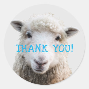 Sticker Rond Mouton Visage Tricot Affaires Merci