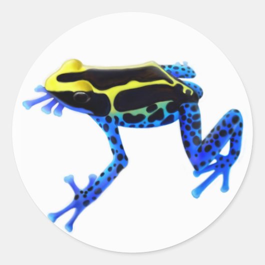 Sticker Rond Mouture de grenouille à poison (Devant)