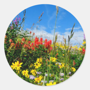 Sticker Rond Mt. Fleur sauvage