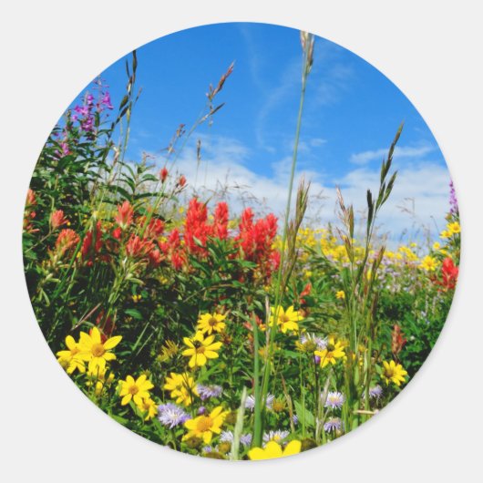 Sticker Rond Mt. Fleur sauvage (Devant)