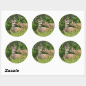 Sticker Rond Mule Deer Doe avec Fawn (Feuille)