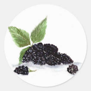 Sticker Rond Mûres fruits aquarelle baies nourriture