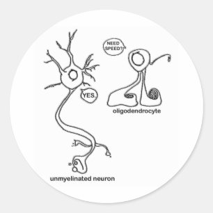 Sticker Rond Myelin Pusher