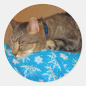 Sticker Rond Nap Heure Pour Indigo (Devant)