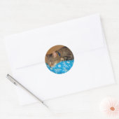 Sticker Rond Nap Heure Pour Indigo (Enveloppe)