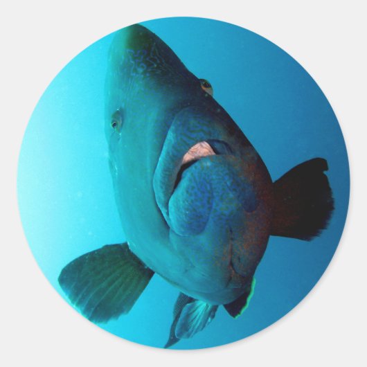 Sticker Rond Napoléon (Devant)