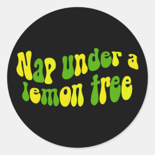 Sticker Rond Napper sous un citronnier