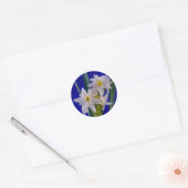 Sticker Rond Narcissus (Enveloppe)