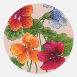 Sticker Rond nasturtium