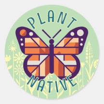 Natif plante Pour Pollinisateurs