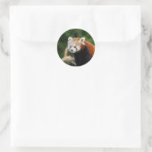 Sticker Rond Nature du Panda roux (Sac)
