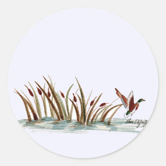 Sticker Rond Nature paisible Mallard Duck Scene (Devant)