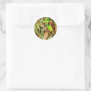 Sticker Rond Nature tropicale Parrots Oiseaux verts