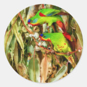 Sticker Rond Nature tropicale Parrots Oiseaux verts (Devant)