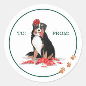 Sticker Rond Naughty Chien Aquarelle Burnese Mountain Chew Cade (Devant)