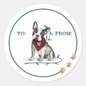 Sticker Rond Naughty Chien Aquarelle Chien Chien Chien Tangé da (Devant)