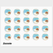 Sticker Rond Nautilus Coquillage et sable (Feuille)