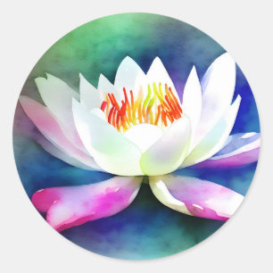 Sticker Rond Nénuphar blanc et rose