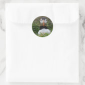 Sticker Rond Nest Builder Puffin (Sac)