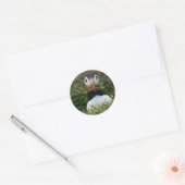 Sticker Rond Nest Builder Puffin (Enveloppe)