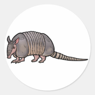 Sticker Rond Neuf Armadillo Bandé