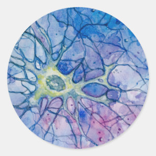 Sticker Rond Neuron aquarelle