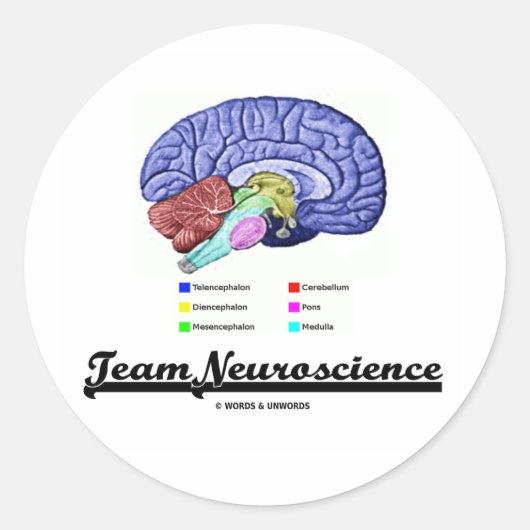 Sticker Rond Neuroscience d'équipe (Attitude d'anatomie cérébra (Devant)