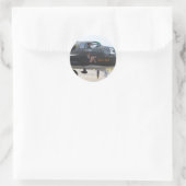 Sticker Rond nez art 'show me' (Sac)