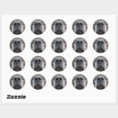 Sticker Rond Nez de Dogue (Feuille)
