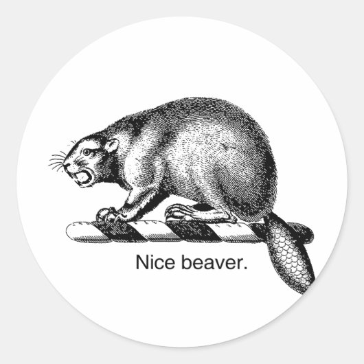 Sticker Rond NICE BEAVER -.png (Devant)