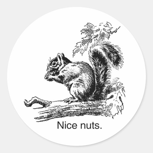 Sticker Rond NICE NUTS -.png (Devant)