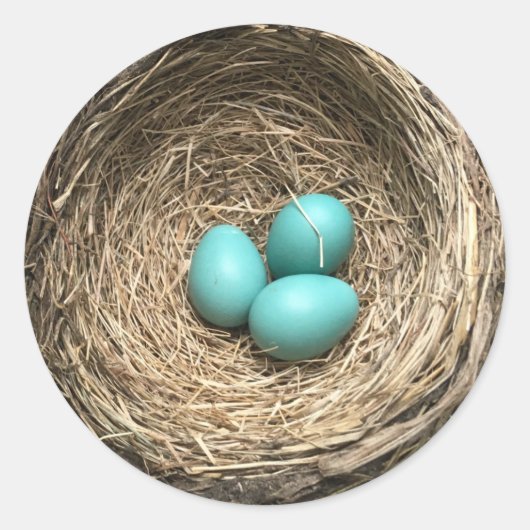 Sticker Rond Nid d'oiseaux avec Oeufs Bleus (Devant)