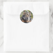 Sticker Rond Noble berger allemand pose semblable au loup (Sac)