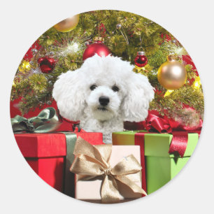 Sticker Rond Noël aux canicules blanches