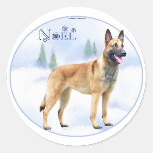 Sticker Rond Noel Belge Malinois