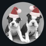 Sticker Rond Noël Boston Terriers<br><div class="desc">terriers de Noël boxton</div>