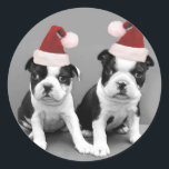Sticker Rond Noël Boston Terriers<br><div class="desc">terriers de Noël boxton</div>