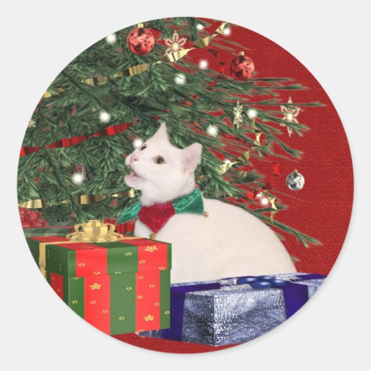 Sticker Rond Noël chaton blanc (Devant)