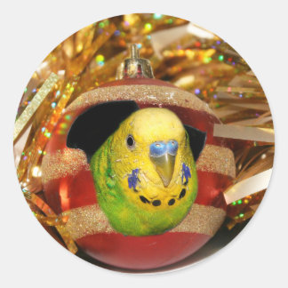 Sticker Rond Noël de la perruche