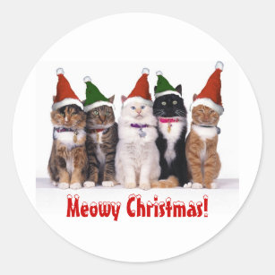 Sticker Rond "Noël de Meowy !" Chats dans des casquettes