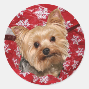Sticker Rond Noël de Yorkie