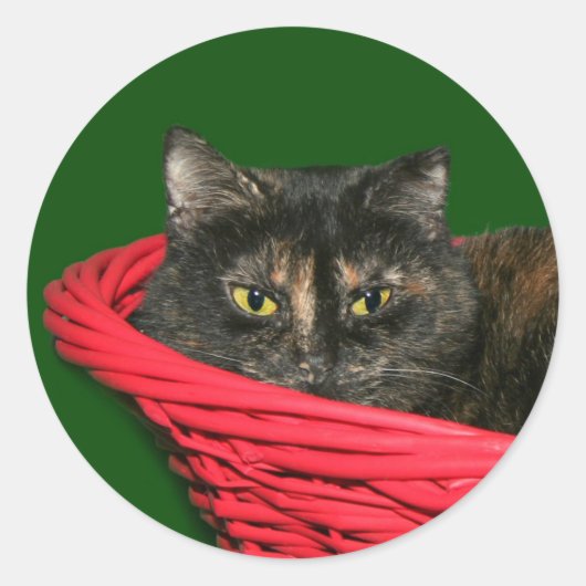 Sticker Rond Noël d'écaille (Devant)