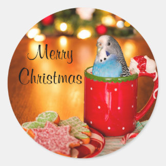 Sticker Rond Noël des perruches