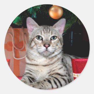 Sticker Rond Noël du chat du Bengale