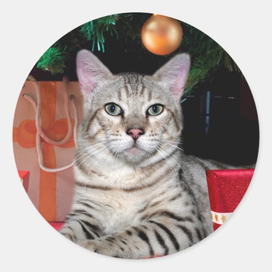 Sticker Rond Noël du chat du Bengale (Devant)
