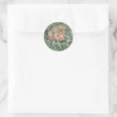 Sticker Rond Noël du hamster (Sac)