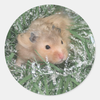 Sticker Rond Noël du hamster