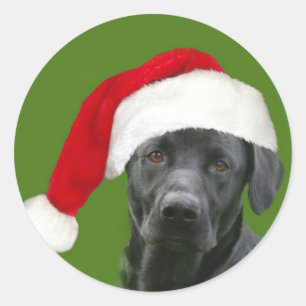 Sticker Rond Noël du laboratoire noir